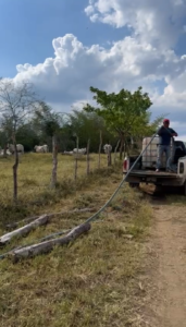 Sequía en Rancho La Marina, hay que dotar de agua a todos los animales para que tengan un desarrollo pleno. Empieza a escasear el vital líquido y hay que llevarlo de otros lugares